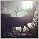 USDA Forest Service SW Region - Foresters