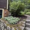 Greenleaf’s Garden Design gallery