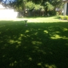 E Cut Lawn Care inc gallery