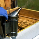 AntEco Pest Control - Pest Control Equipment & Supplies