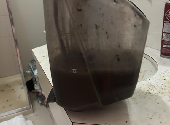 One Agency Zhu Property - Wantirna, VIC. Cleaned professionally my A$&