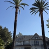 Gaspar Landscaping gallery