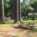 Phoenicia Lodge - Cottages