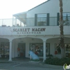 Scarlet Macaw Resort Wear gallery