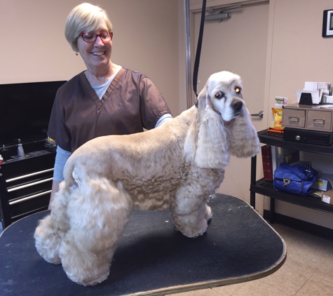 Winner's Circle Grooming - Tucson, AZ