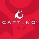 Cattino LLC Cat Scratchers & Cat Toys
