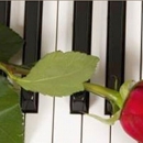 Across The Usa Piano Moving - Pianos & Organ-Tuning, Repair & Restoration
