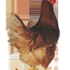 Town Line Hatchery & Poultry Farm gallery