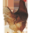 Townline Hatchery & Poultry Farm