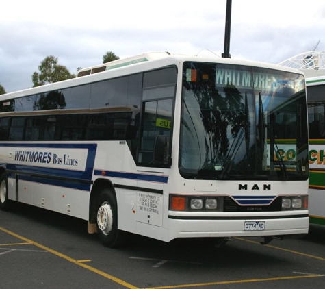 Castlemaine Bus Lines Pty Ltd