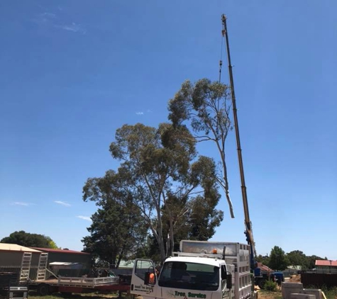 Kendall's Tree Service - Lake Albert, NSW. gum tree removal wagga