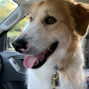 Rob Cary Pet Resort - Hostels