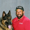 Pro-Train - Service Dog Training gallery