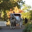 Top Hand Ranch - Horse & Carriage-Rental