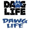 Dawg Life Doggy Daycare & Boarding- Dallas gallery