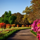 Country Gardens of Bristol - Landscape Contractors