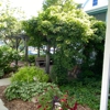 Edgewater Resort & Condominiums gallery