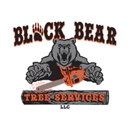 Black Bear Tree Services - Tree Service