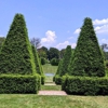 Ladew Topiary Gardens gallery