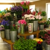 The Flower Cupboard gallery