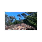 Gallery Image Number 8