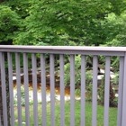 The Fox Stop