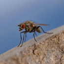 CARR Pest Management - Pest Control Equipment & Supplies