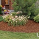 McCoy Inc. Lawn & Landscape