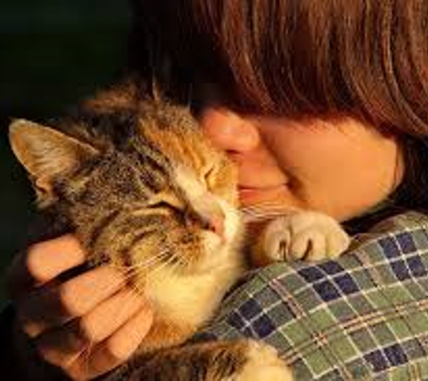 Touch ESA Emotional Support Animal Housing and Travel Letters - Elm grove, WI