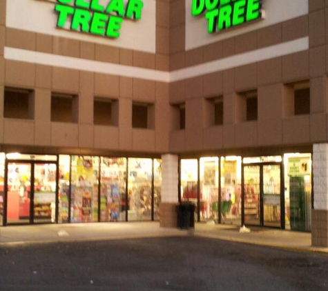 Dollar Tree - Duluth, GA