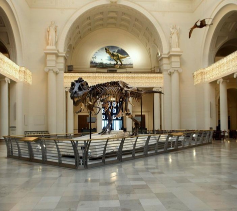 Field Museum of Natural History - Chicago, IL