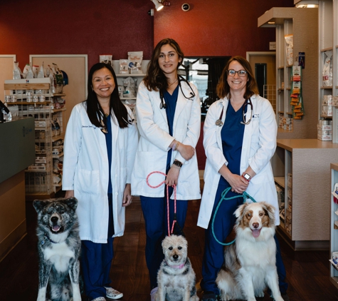 VCA Vets & Pets Animal Hospital - Santa Clara, CA