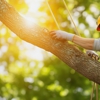 J.B'S Tree Service gallery