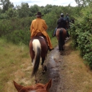 MCM Ranch, LLC - Horse Training