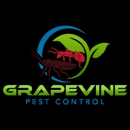 Grapevine Pest Control - Termite Control
