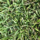 Sod Farm - Sod & Sodding Service