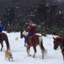 Greenridge Horse Ranch - Pony Rides