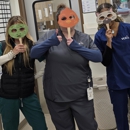 VCA City Cats Hospital - Veterinarians