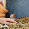 Eako Pest Control gallery