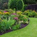 Joe's Yard Service - Landscaping & Lawn Services