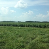 Hallock's U-Pick Farm gallery