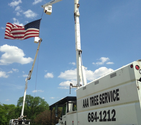 AAA Tree & Landscaping