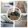 ROYALTY CARPET CLEANING gallery