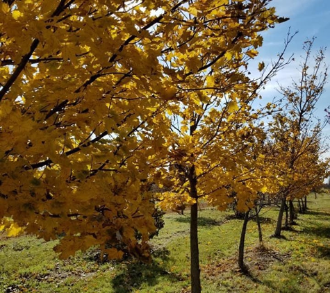 Paul Tree Farms - Pleasant Plains, IL