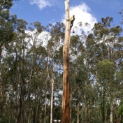 Gallery Image Number 4