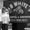 T & B White's Grooming gallery