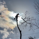 Perfect Harmony Trees & Gardens - Tree Service