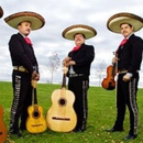 Mariachi Real Morelos - Musicians