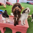 Bayside Pet Resort - Pet Boarding & Kennels