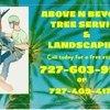 ABOVE & BEYOND TREE SERVICE gallery